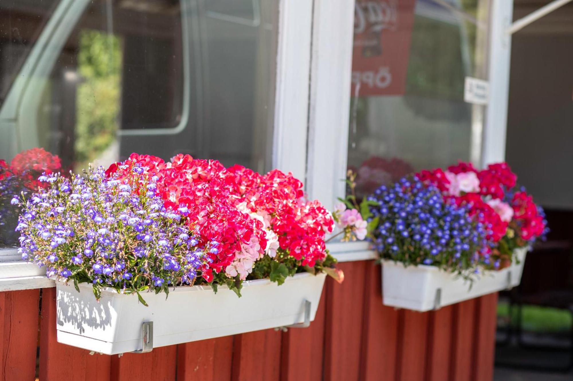 Stockholm Aengby Camping Exterior foto